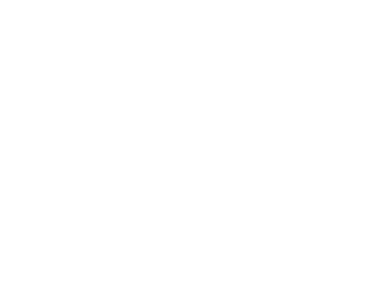 financial security icon